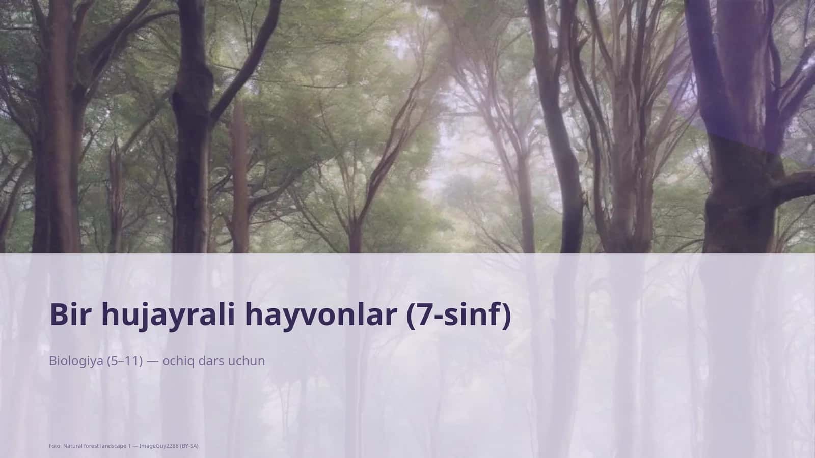 Bir hujayrali hayvonlar (7-sinf)