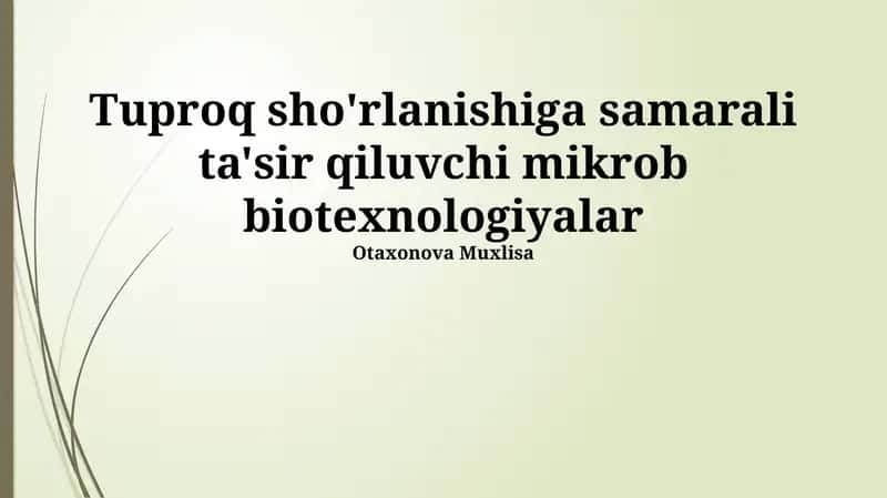 Tuproq sho'rlanishiga samarali ta'sir qiluvchi mikrob biotexnologiyalar