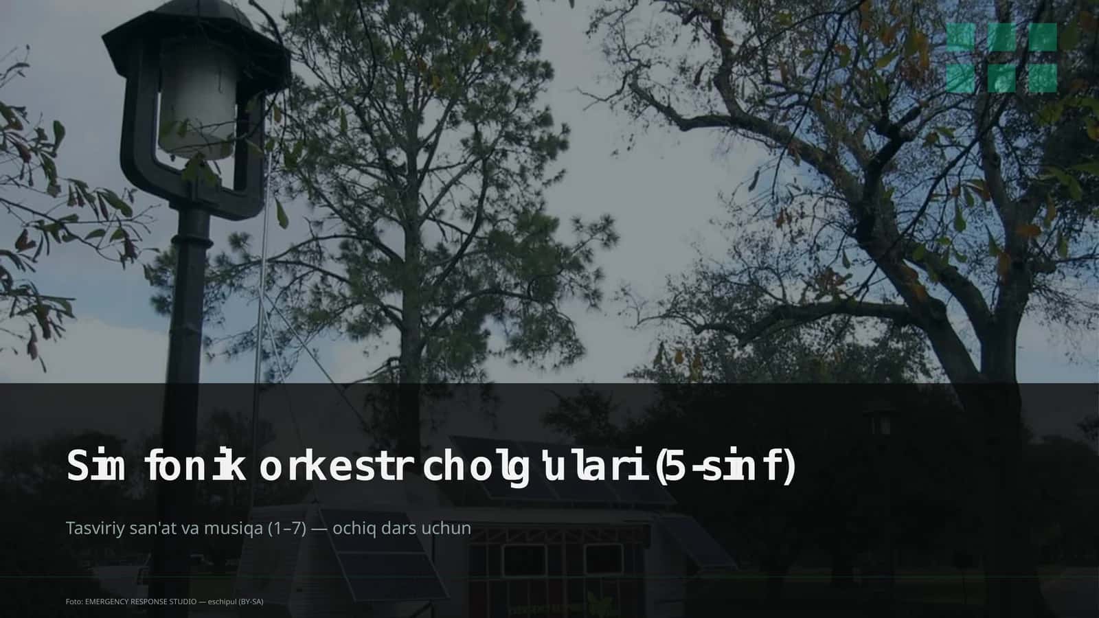 Simfonik orkestr cholg'ulari (5-sinf)