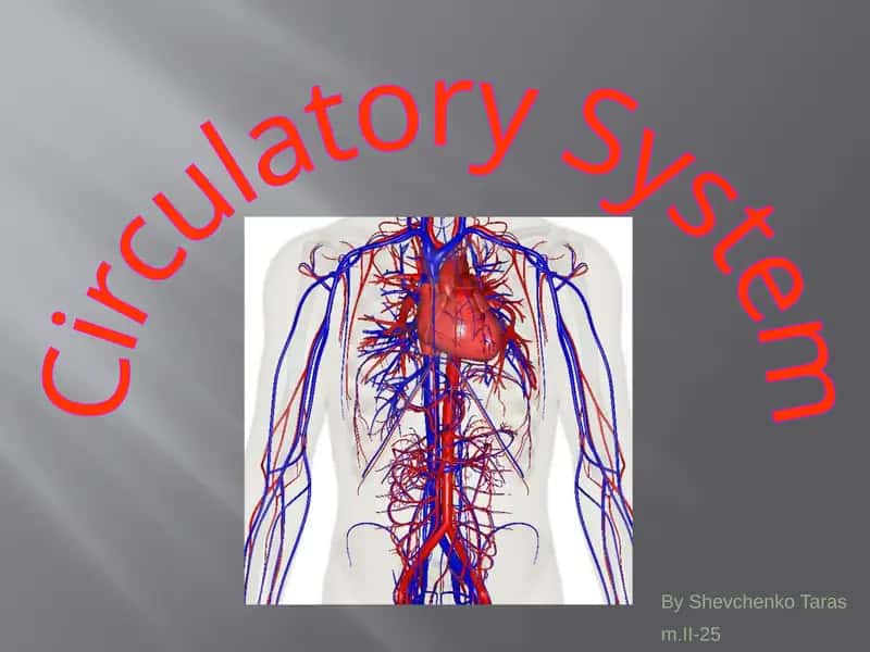 Circulatory System