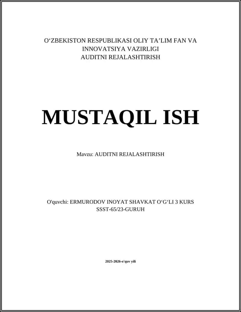 AUDITNI REJALASHTIRISH