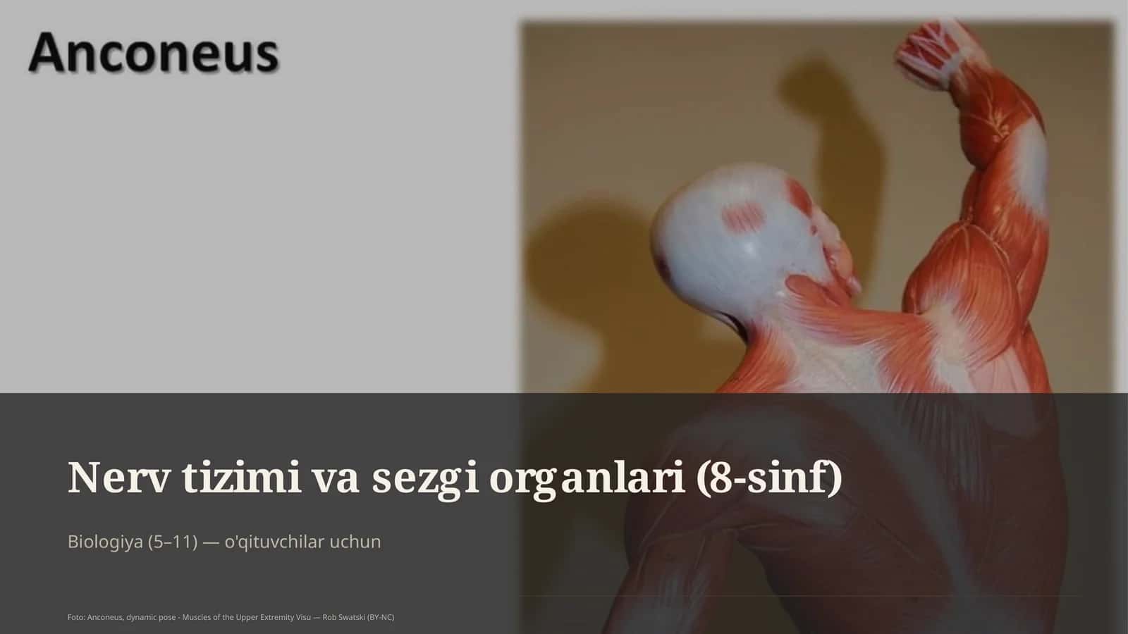 Nerv tizimi va sezgi organlari (8-sinf)