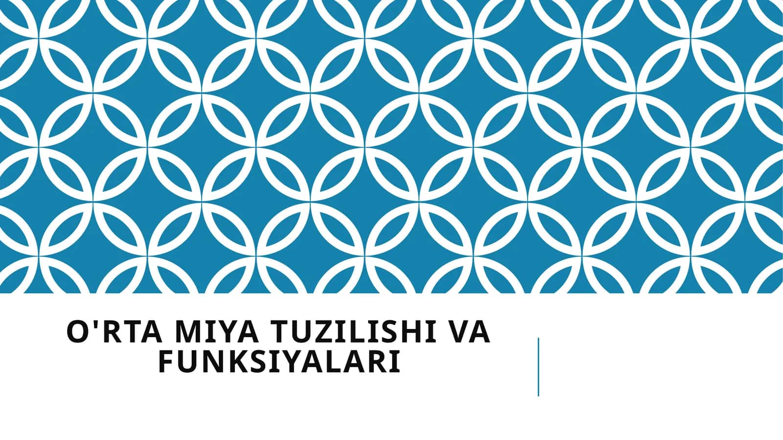 O'rta miya tuzilishi va funksiyalari