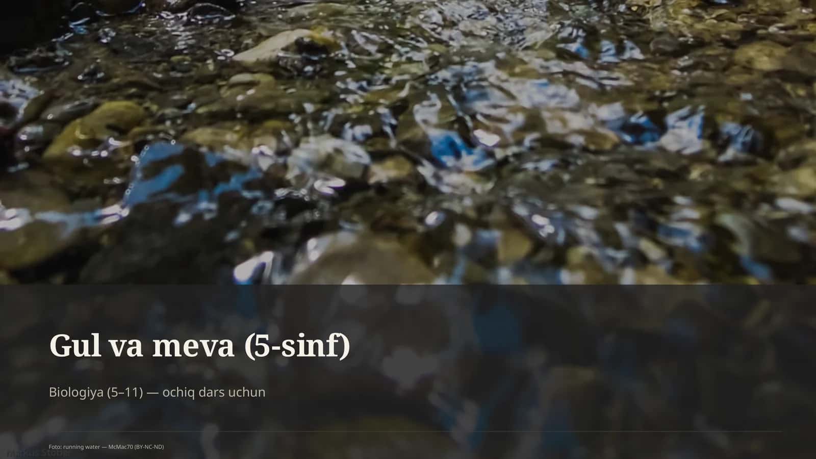 Gul va meva (5-sinf)