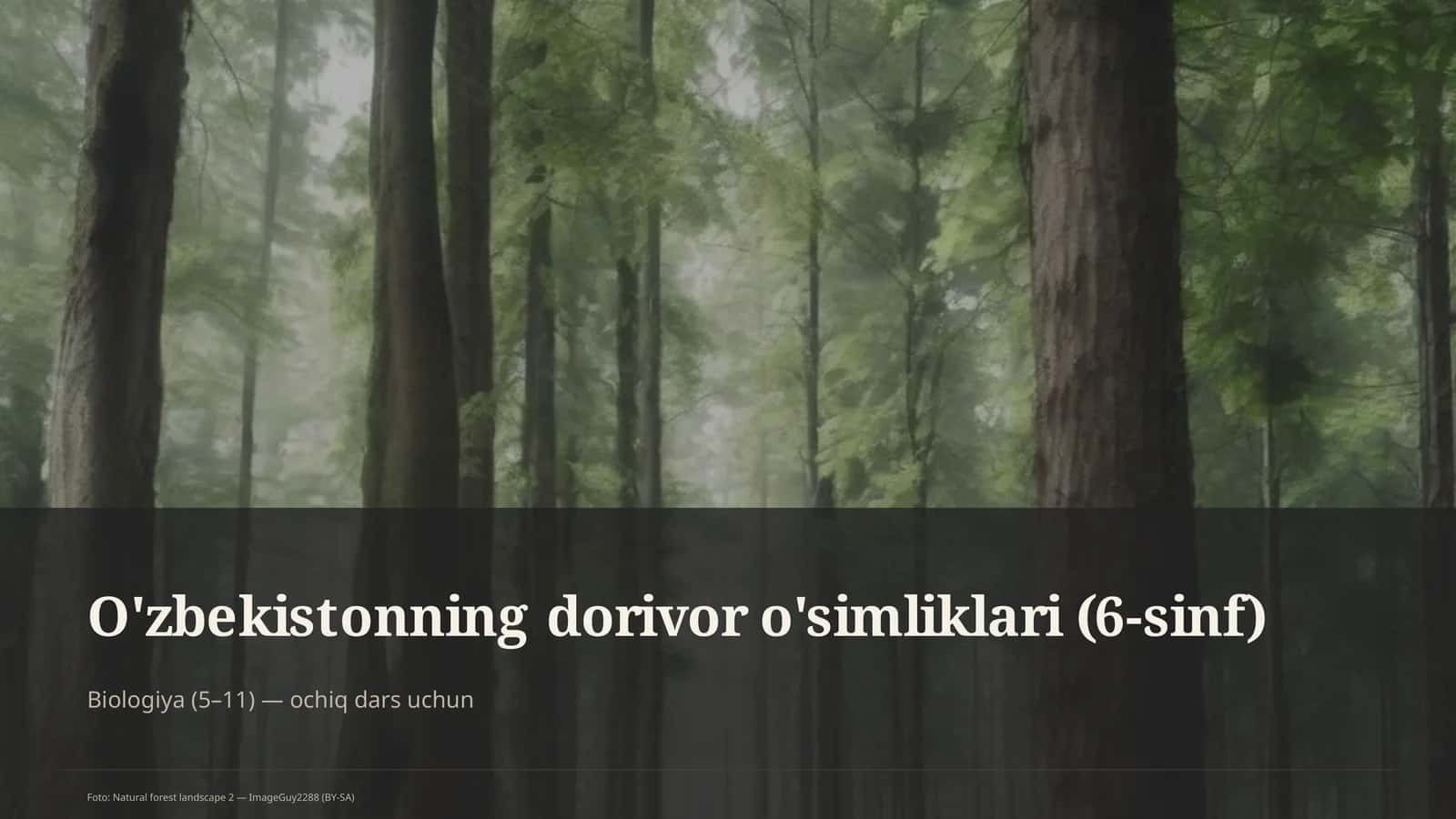 O'zbekistonning dorivor o'simliklari (6-sinf)