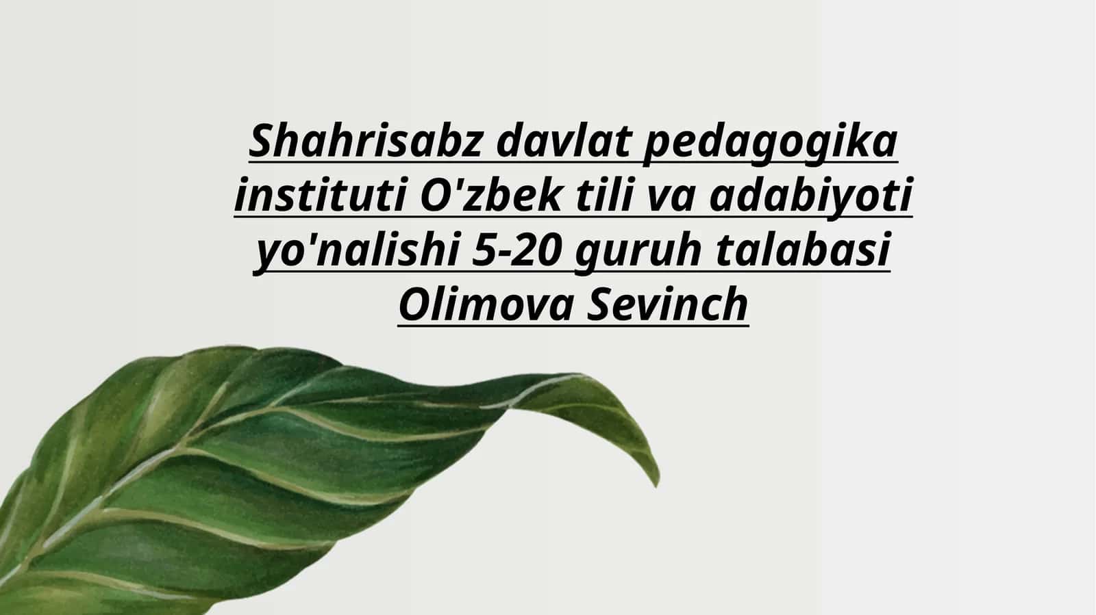 Lison ut-tayr