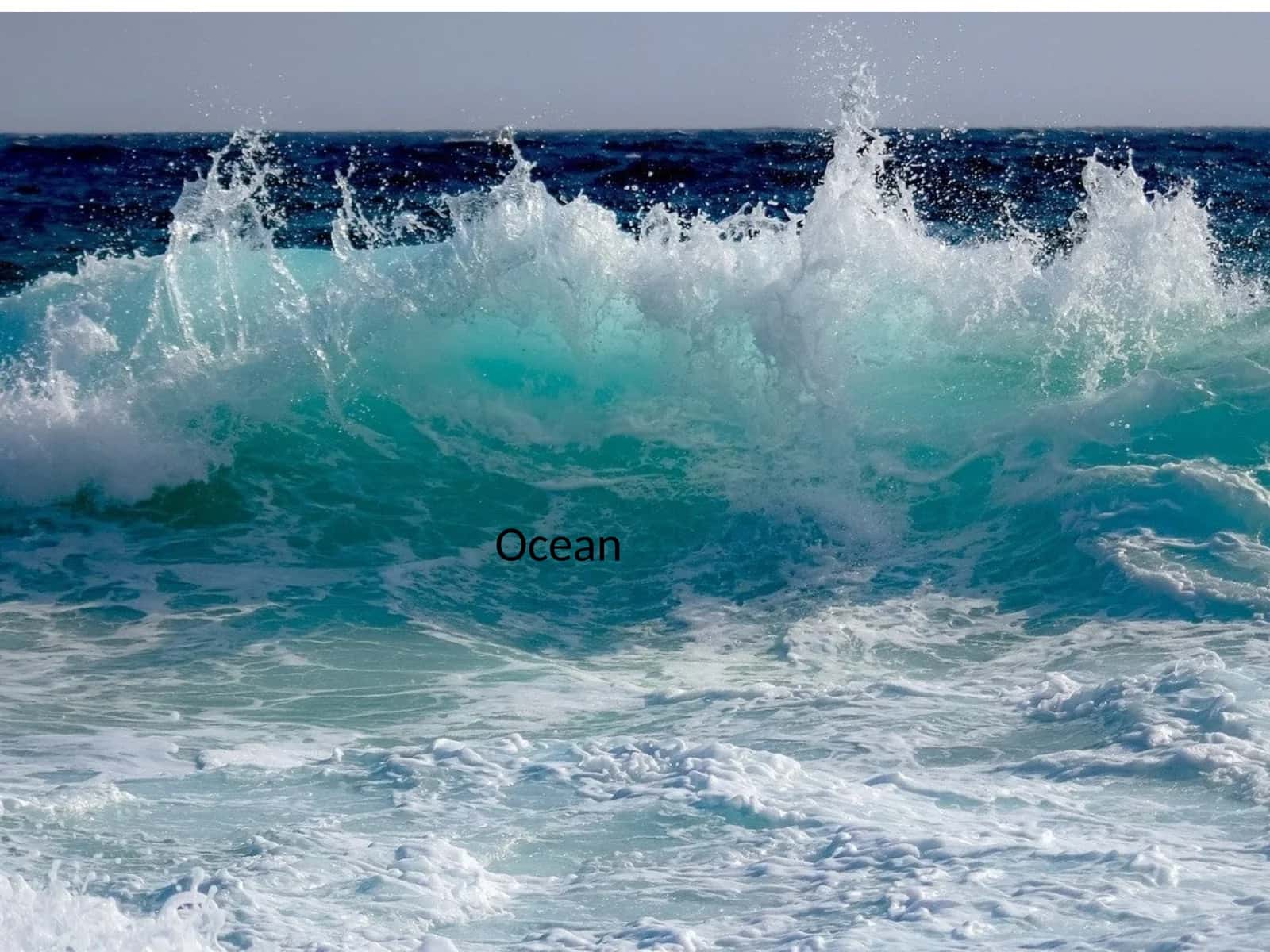 Ocean