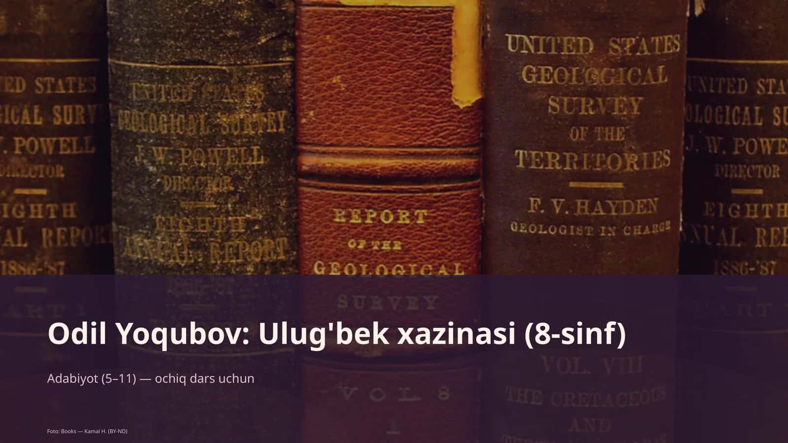 Ulug'bek xazinasi (8-sinf)