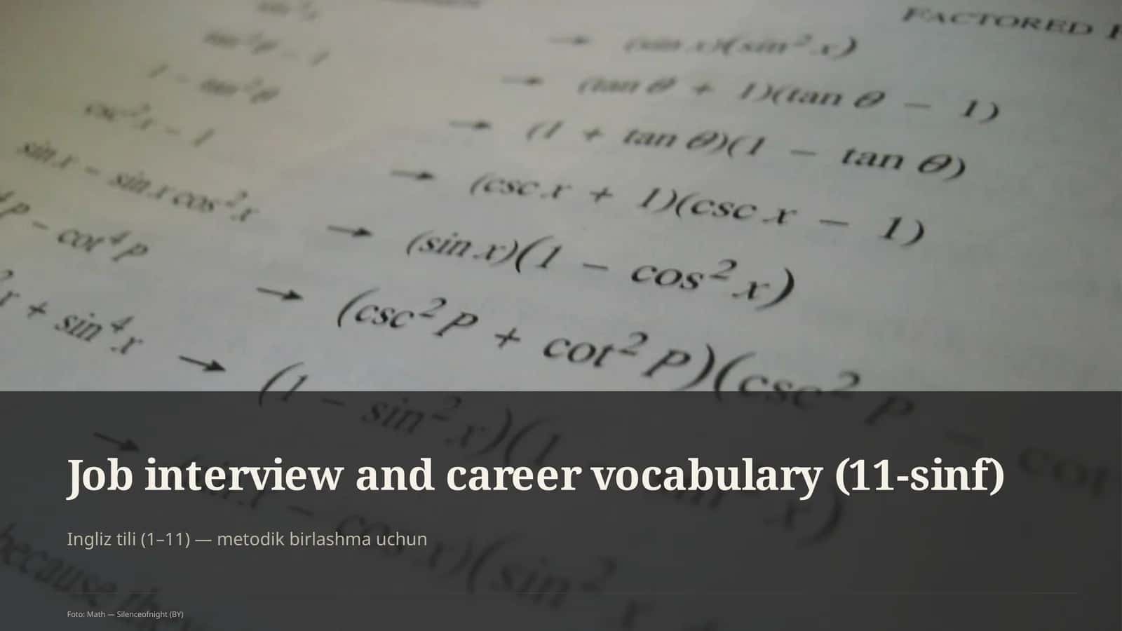 Job interview and career vocabulary (11-sinf)