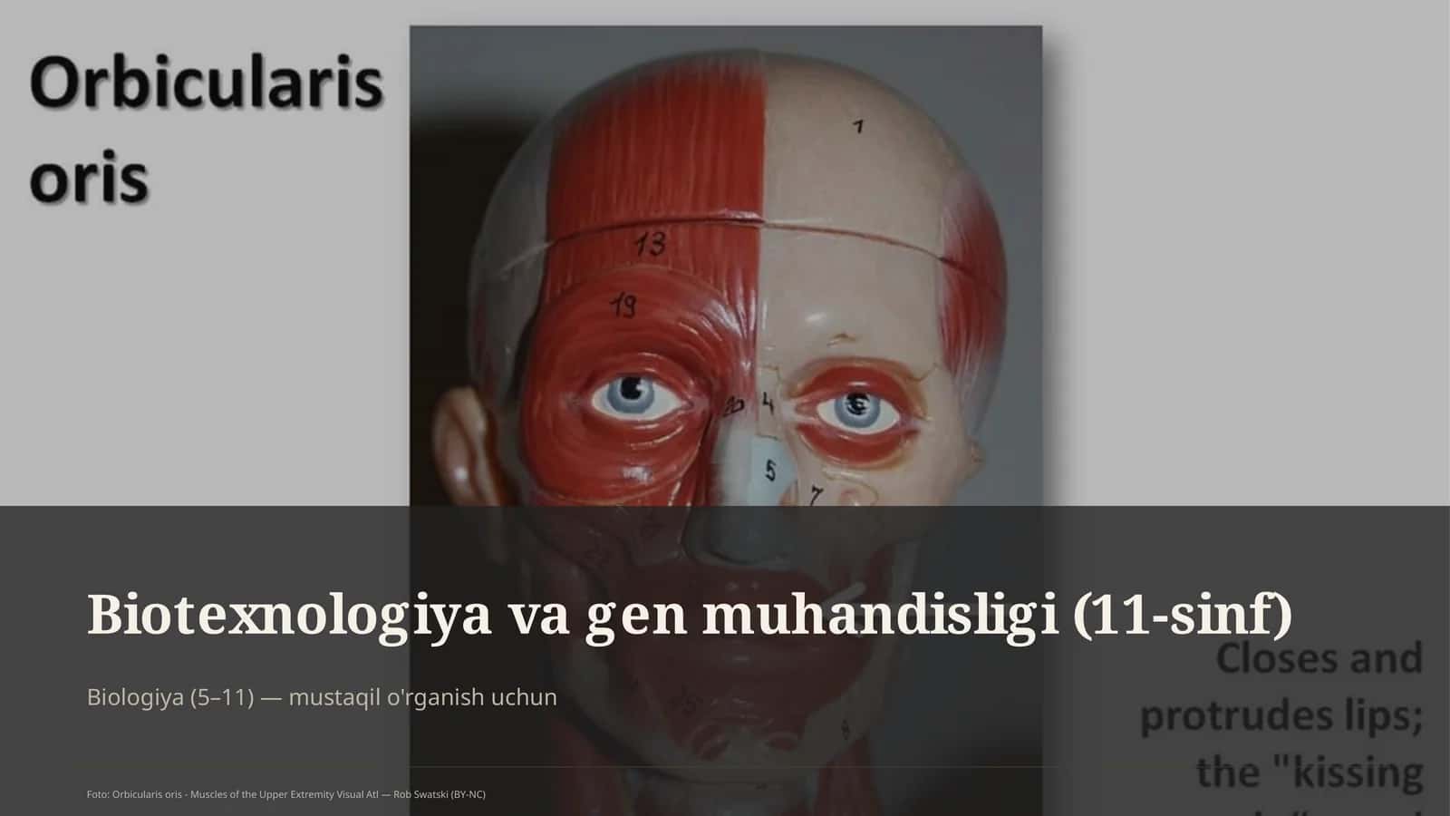 Biotexnologiya va gen muhandisligi (11-sinf)