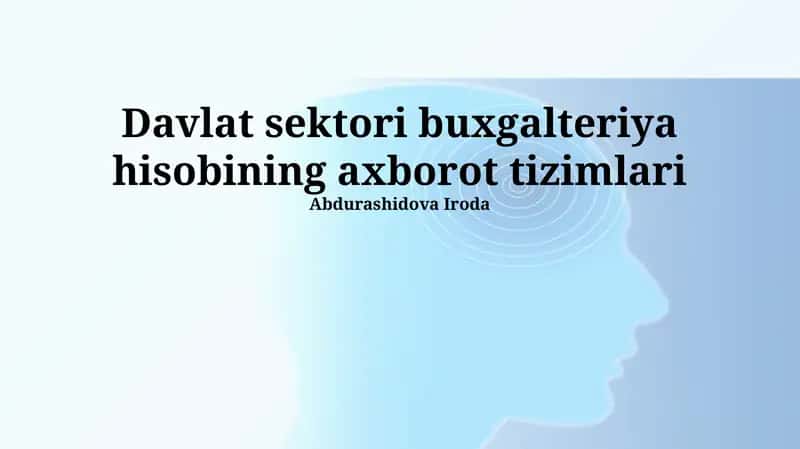 Davlat sektorida buxgalteriya hisobi axborot tizimlari