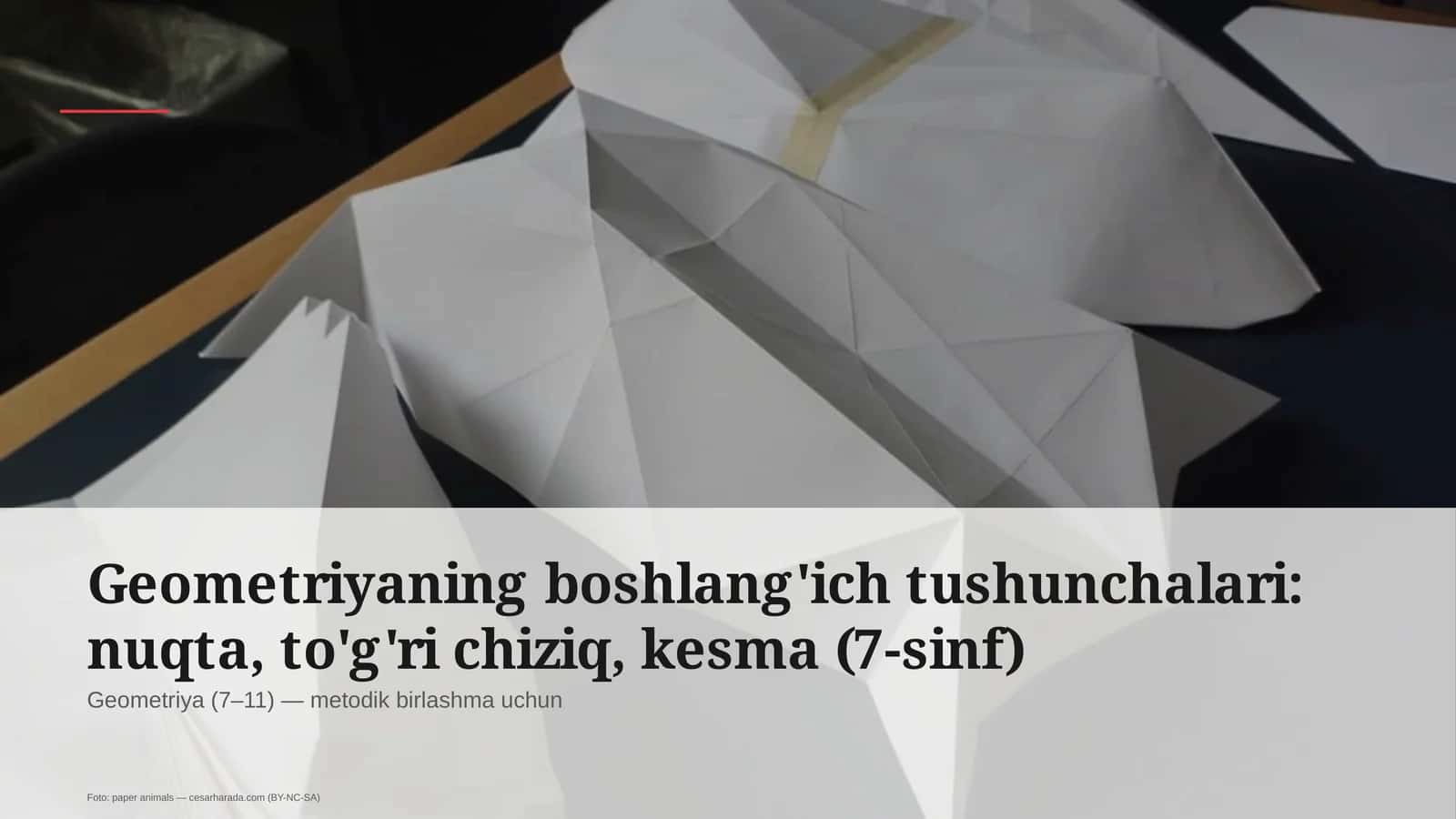 Geometriyaning boshlang'ich tushunchalari: nuqta, to'g'ri chiziq, kesma (7-sinf)