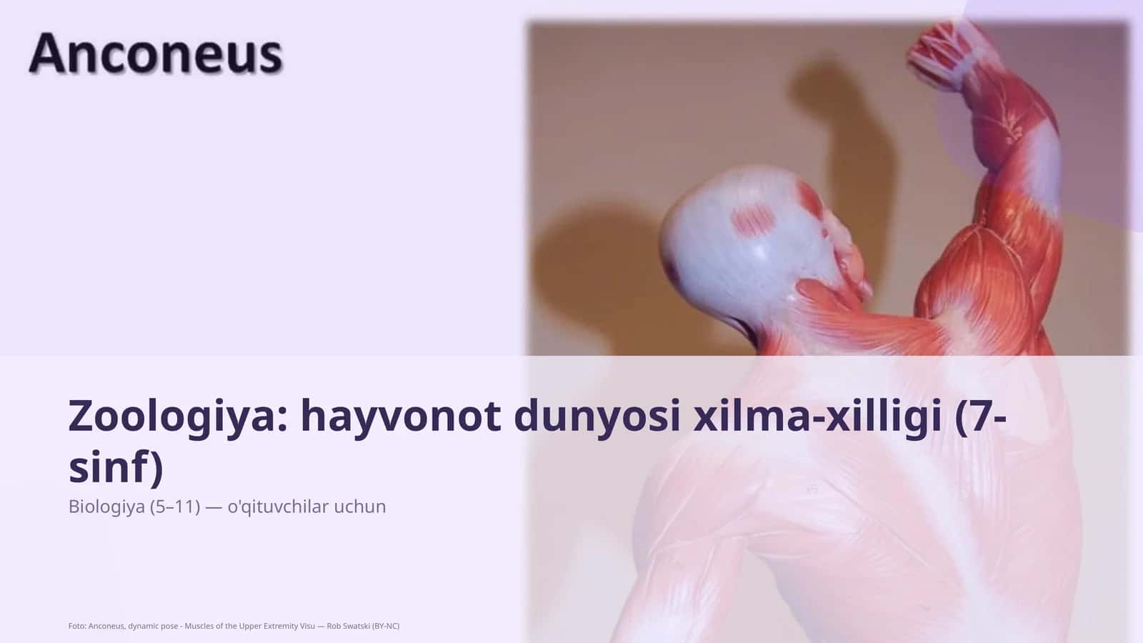 Zoologiya: hayvonot dunyosi xilma-xilligi (7-sinf)