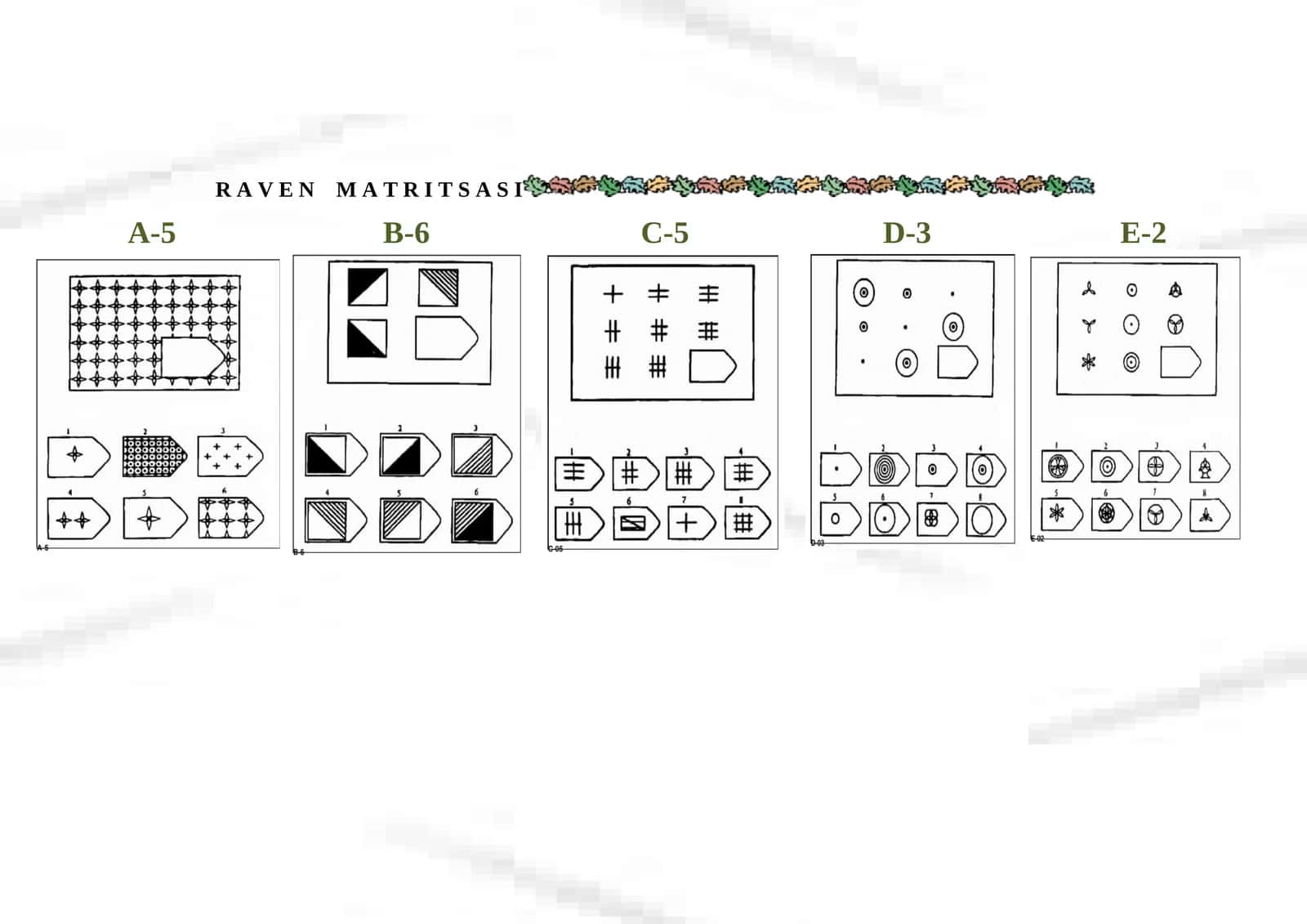 RAVEN MATRITSA