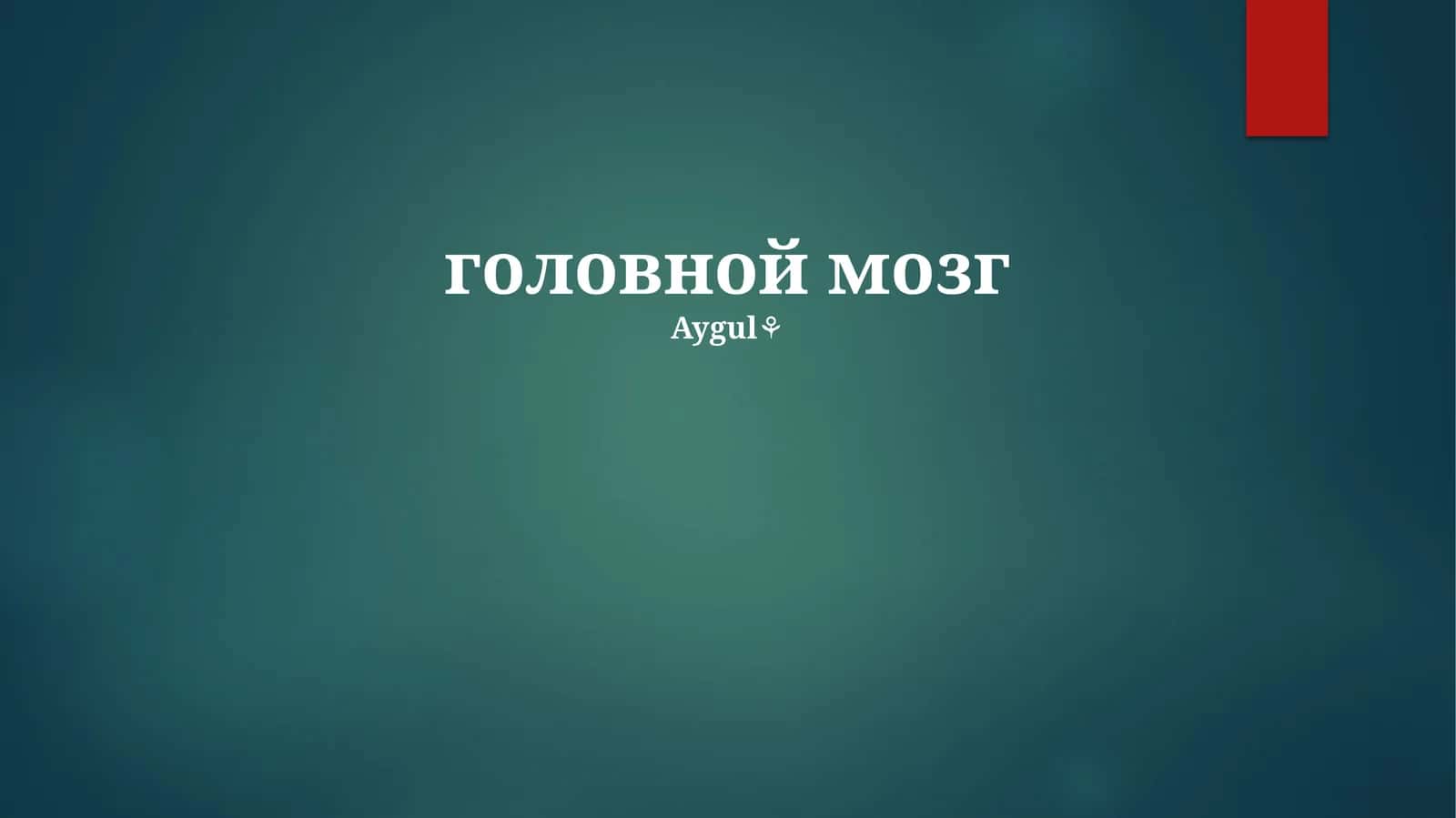 Анатомия и Физиология Мозга