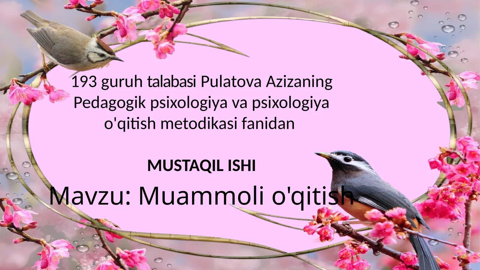 Muammoli o'qitish 1