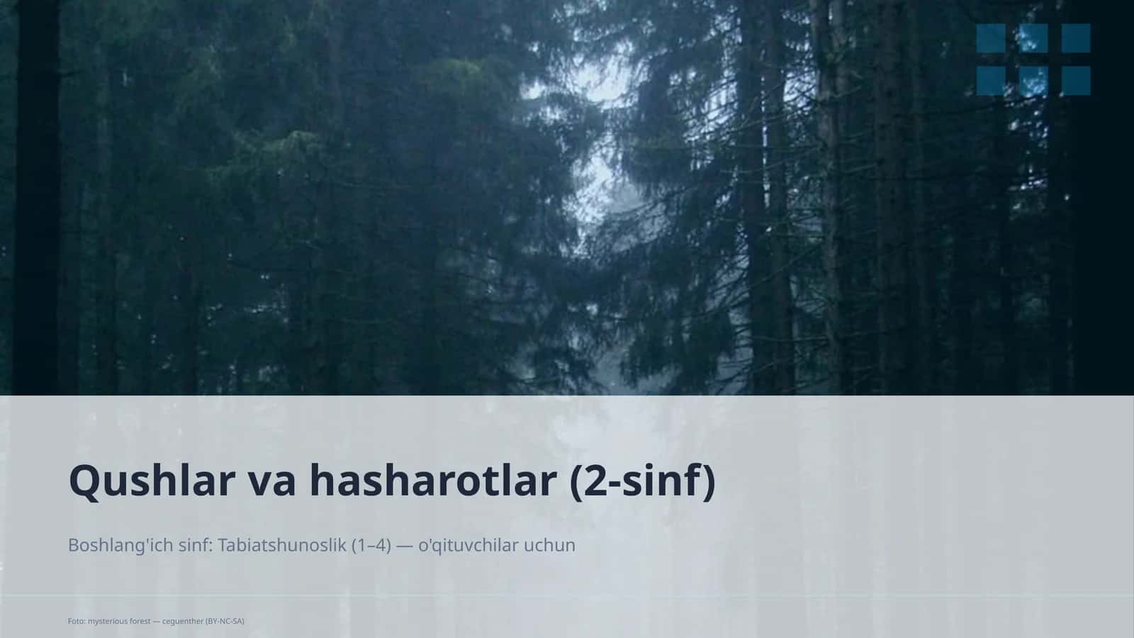Qushlar va hasharotlar (2-sinf)