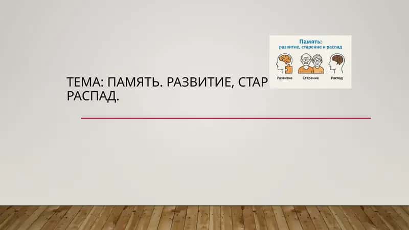 Память. Развитие, старение и распад