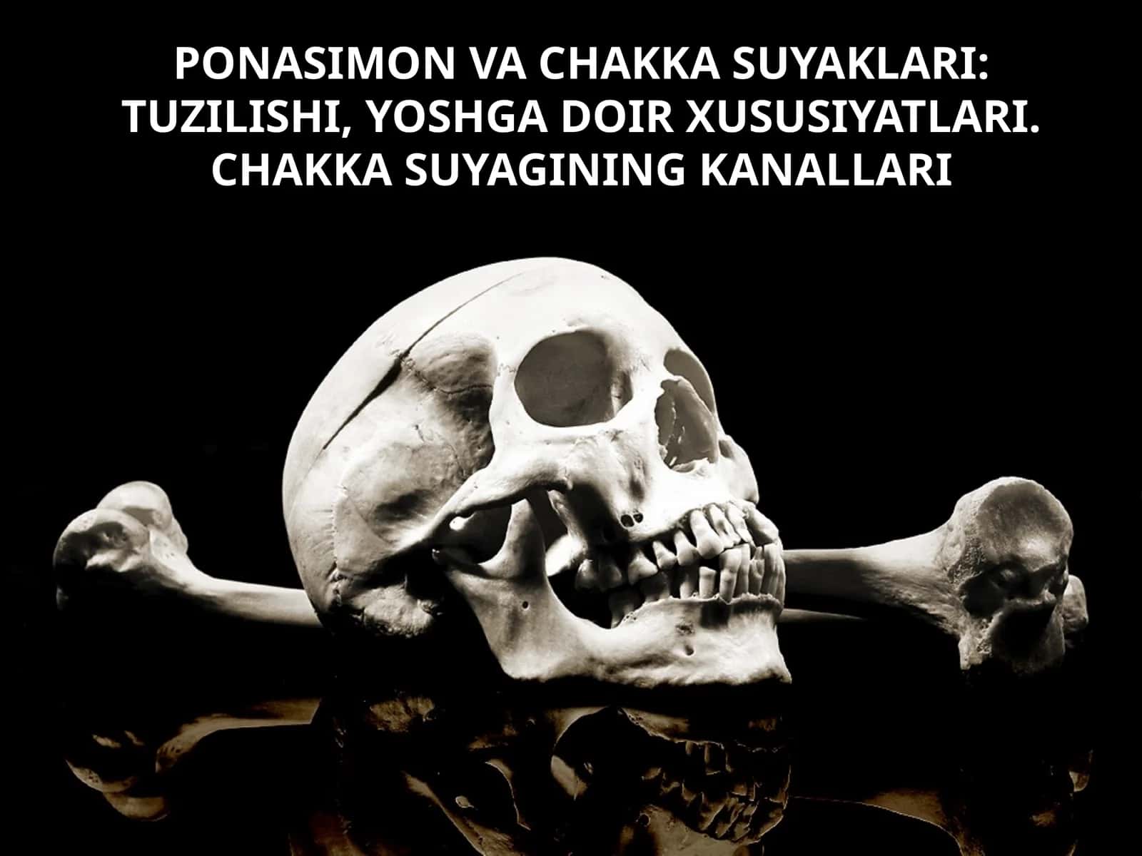 PONASIMON VA CHAKKA SUYAKLARI: TUZILISHI, YOSHGA DOIR XUSUSIYATLARI. CHAKKA SUYAGINING KANALLARI