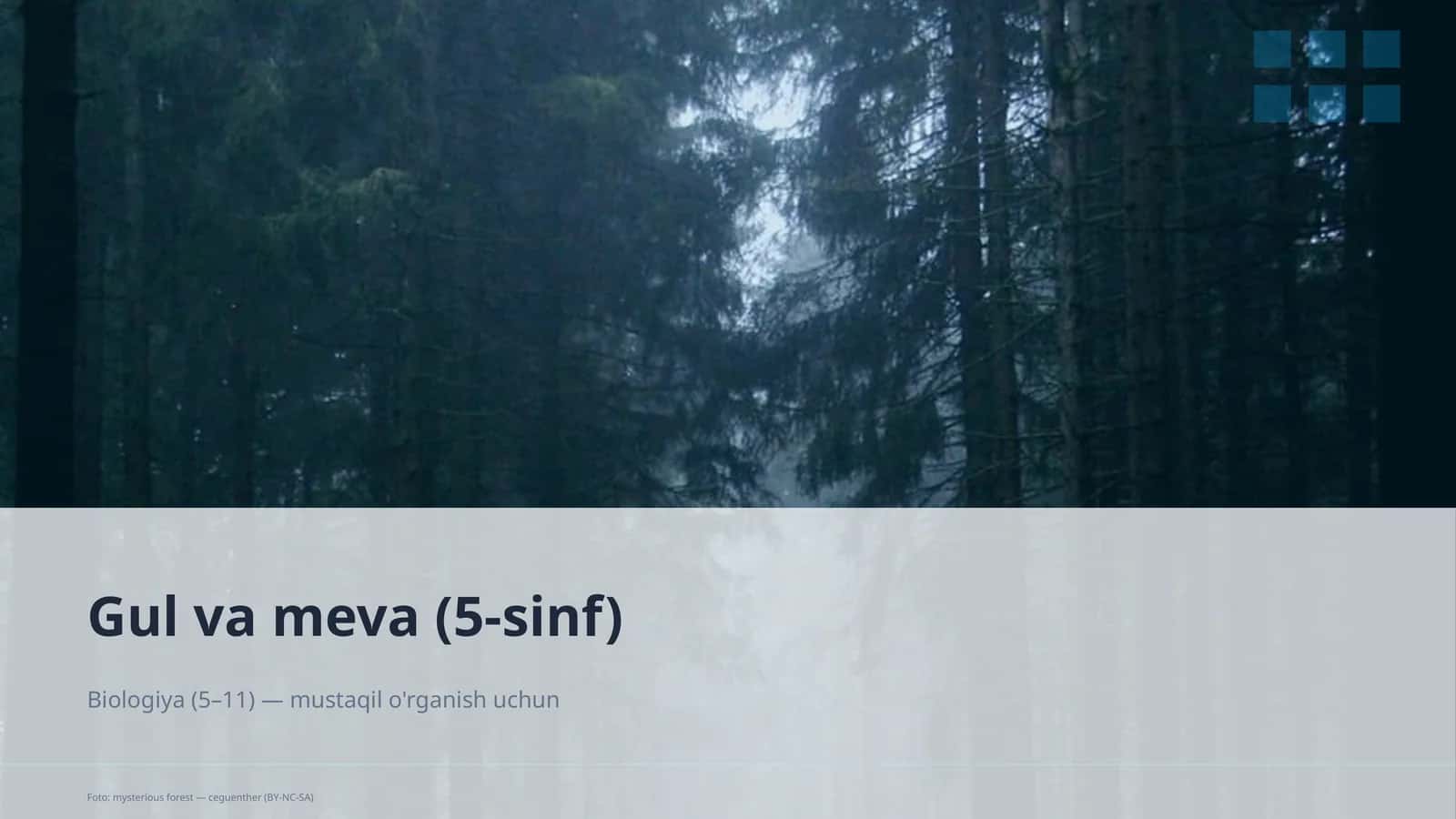 Gul va meva (5-sinf)