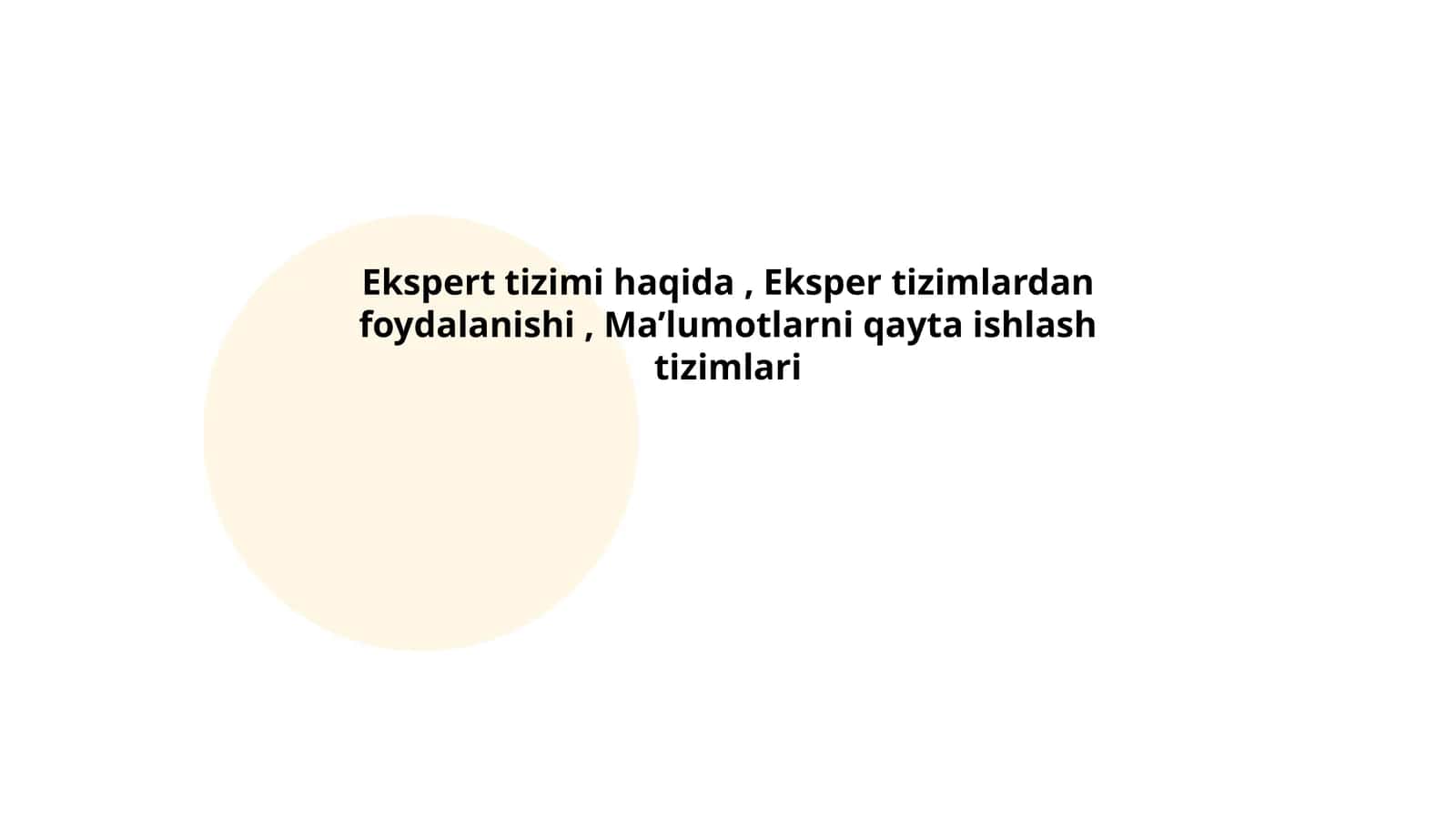 Ekspert tizimlarning tushunchasi