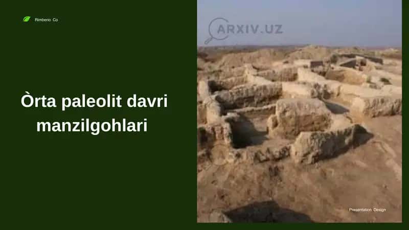 Òrta paleolit davri manzilgohlari