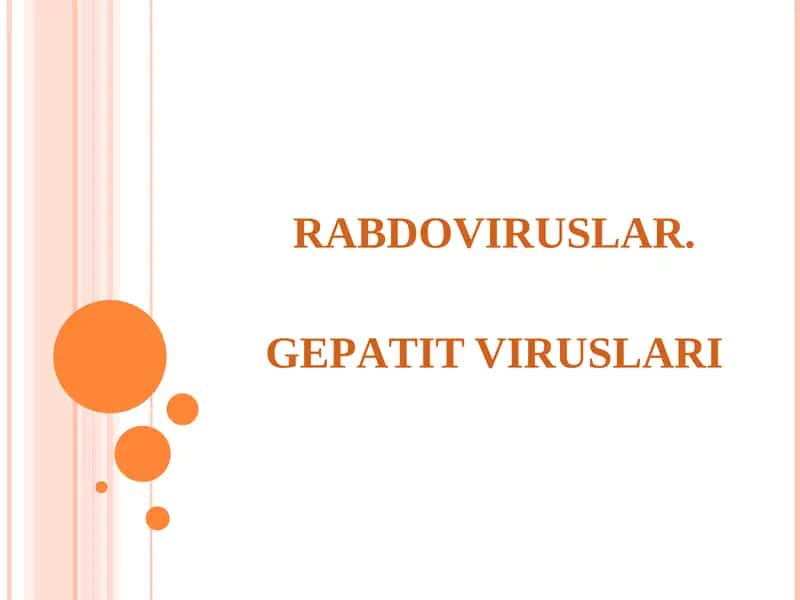 Rabdoviruslar
