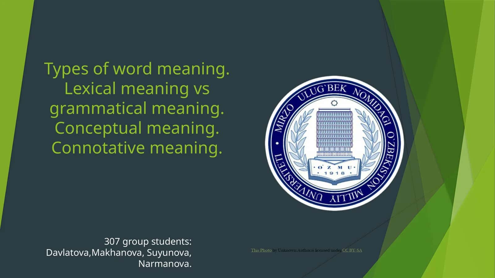 Type of word meaning