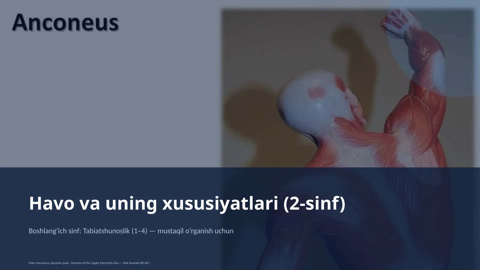 Havo va uning xususiyatlari (2-sinf)