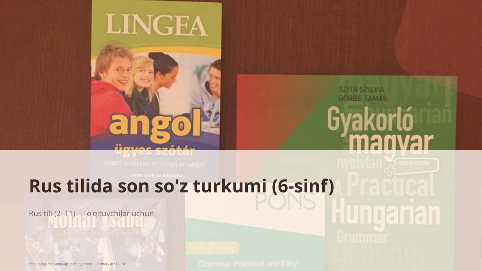 Rus tilida son so'z turkumi (6-sinf)