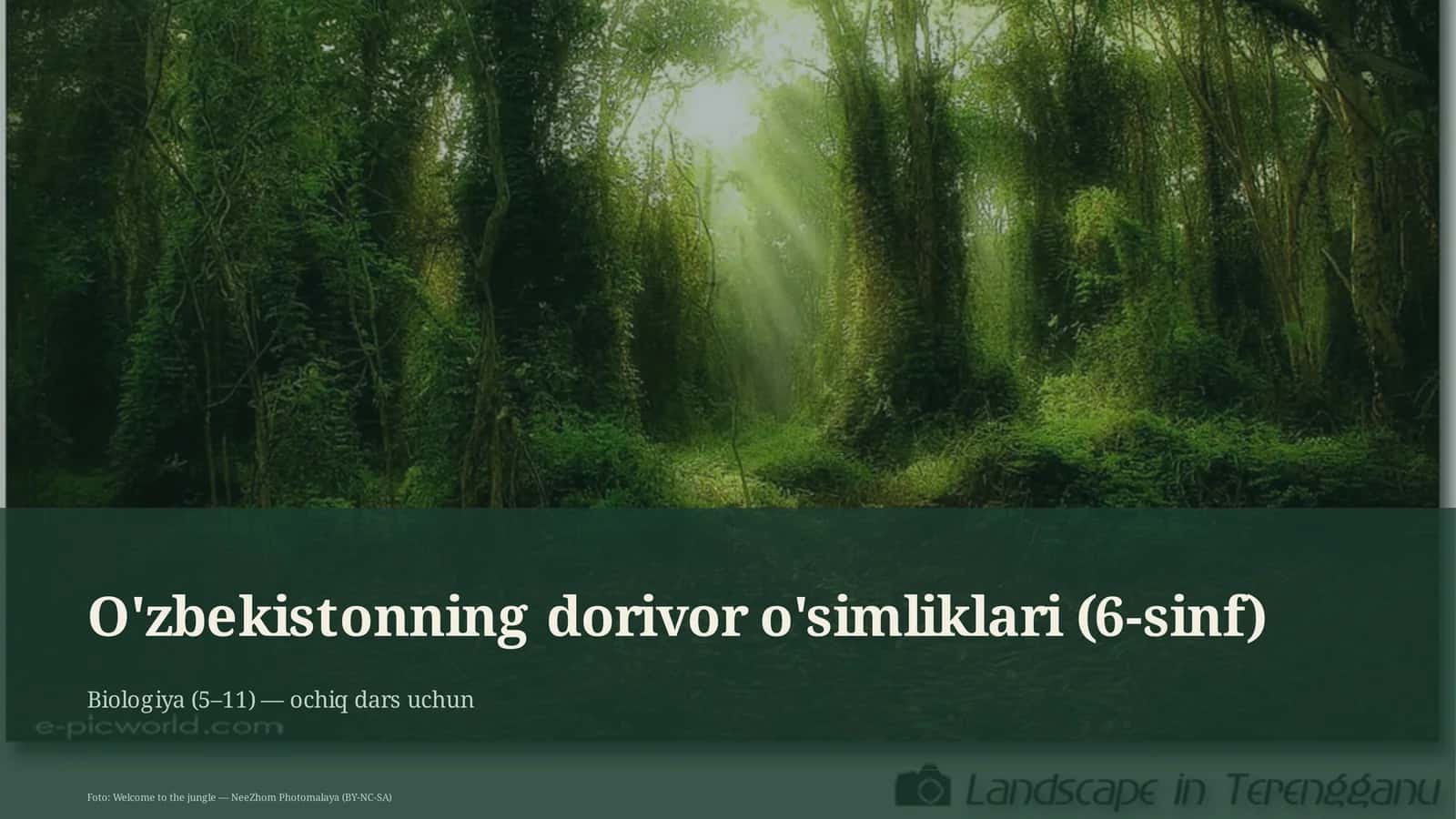 O'zbekistonning dorivor o'simliklari (6-sinf)