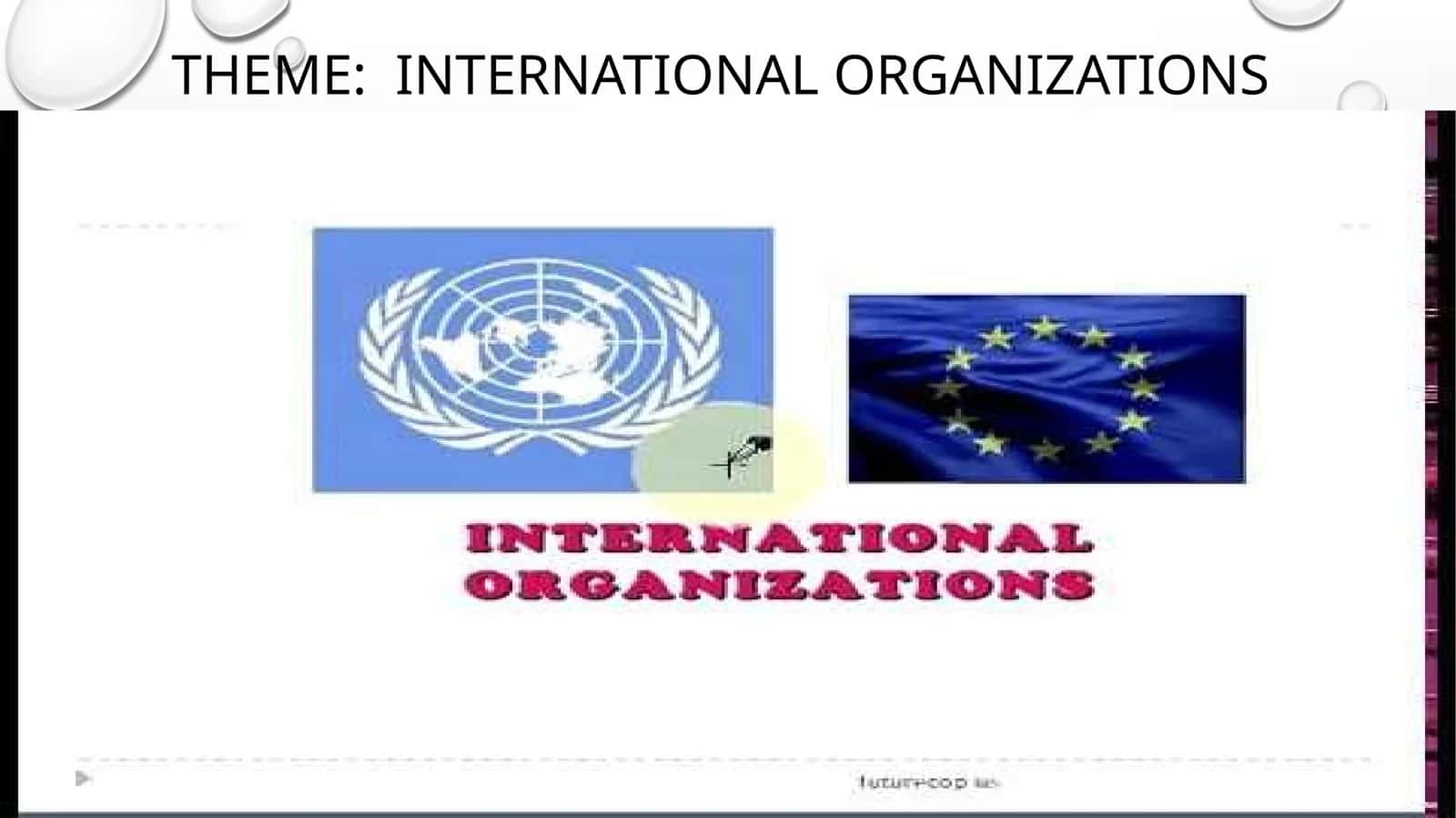 International organizations
