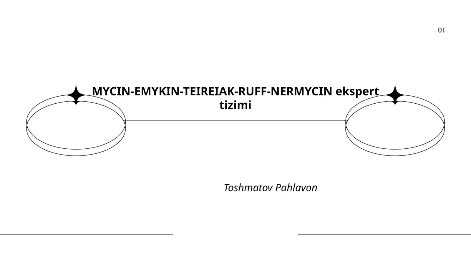MYCIN-EMYKIN-TEIREIAK-RUFF-NERMYCIN ekspert tizimi