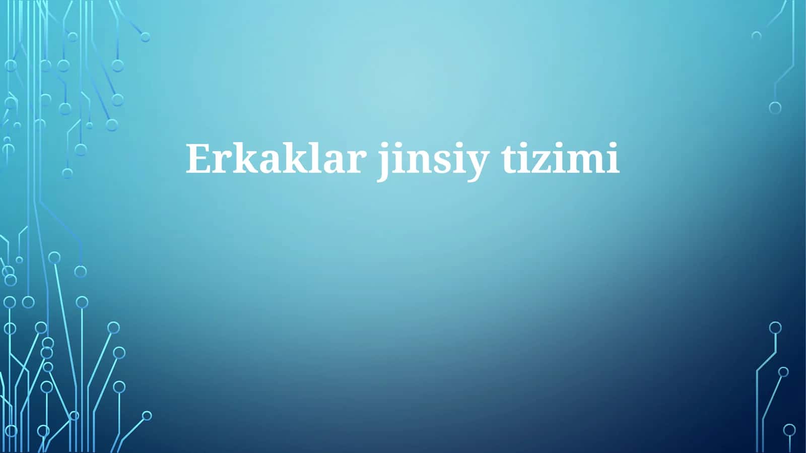 Erkaklarjinsiytizimi