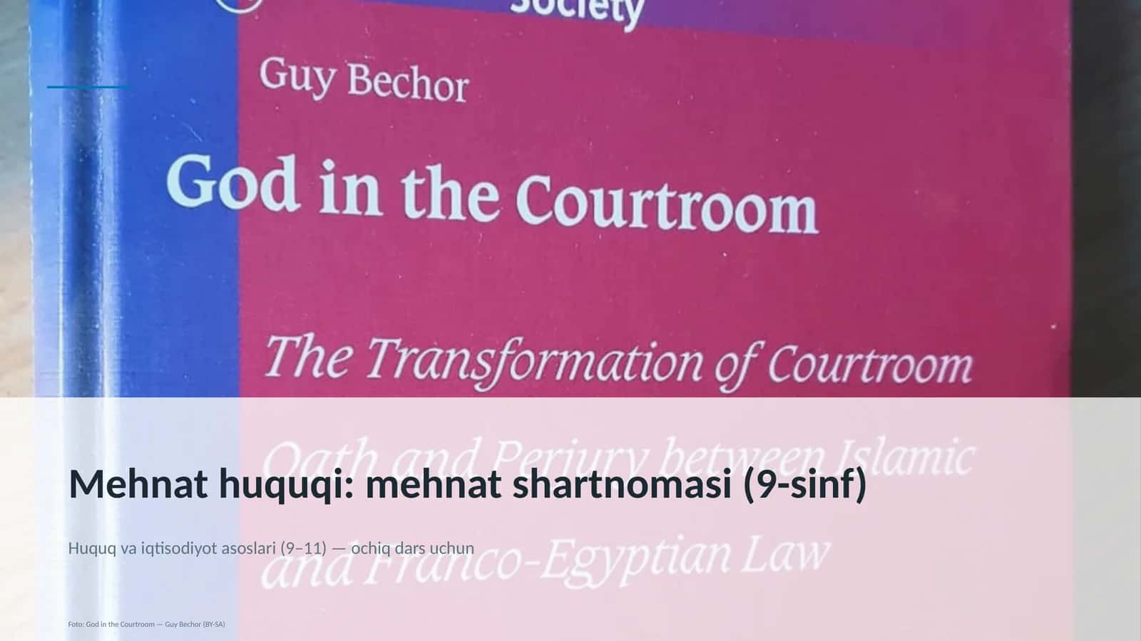 Mehnat huquqi: mehnat shartnomasi (9-sinf)