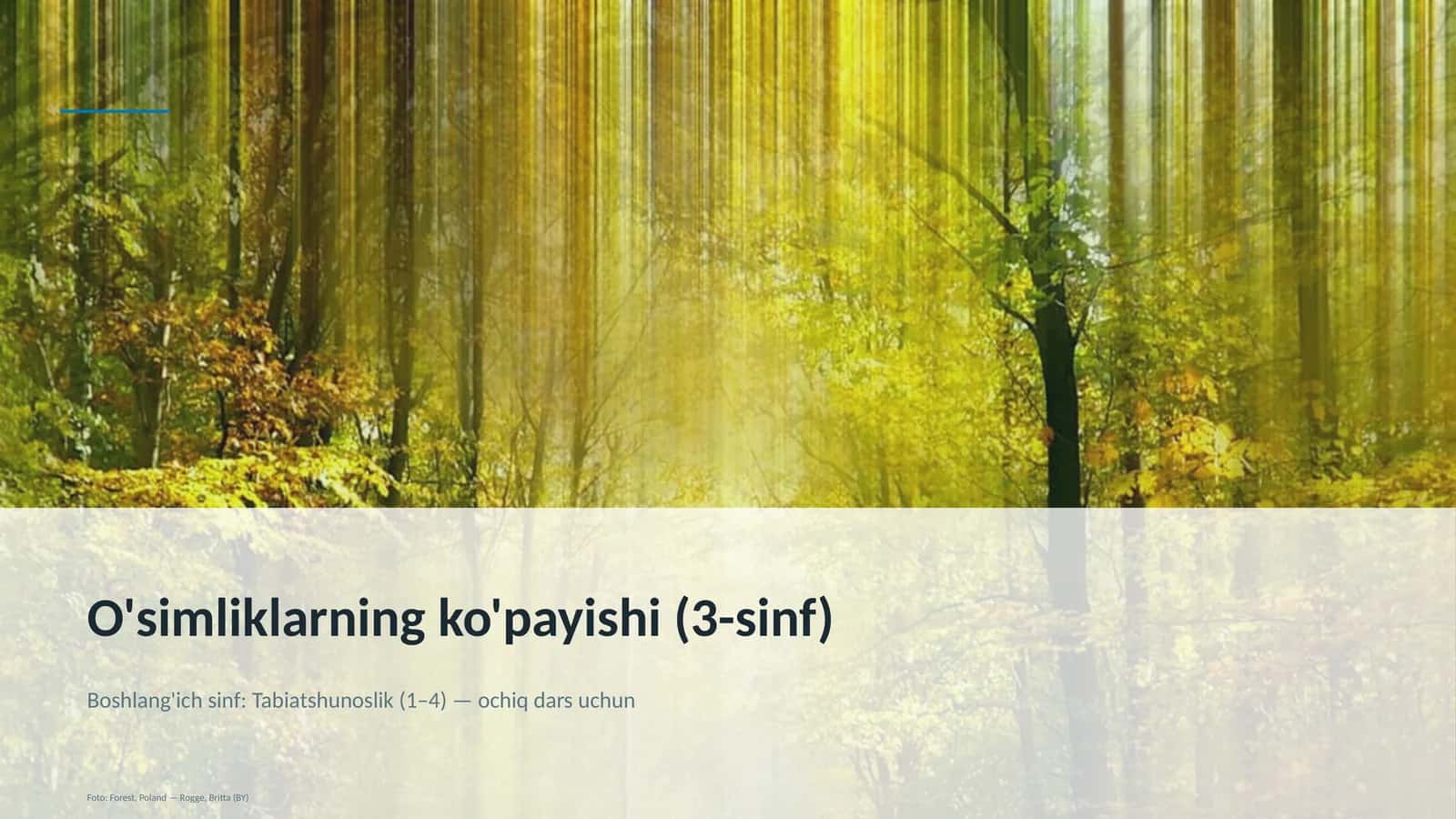 O'simliklarning ko'payishi (3-sinf)