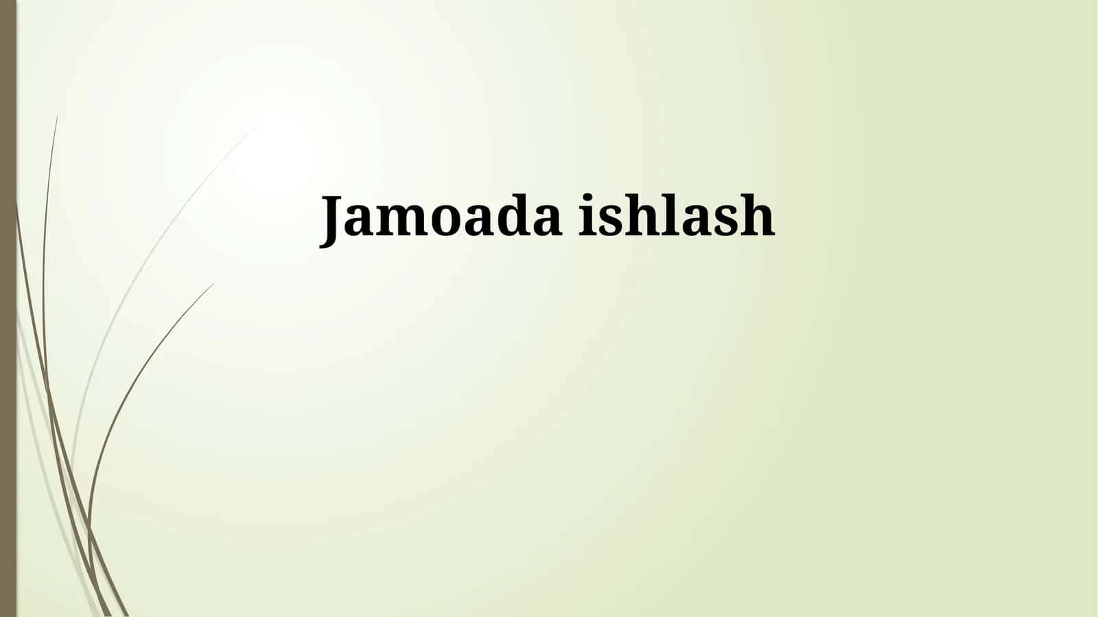 Jamoada ishlash