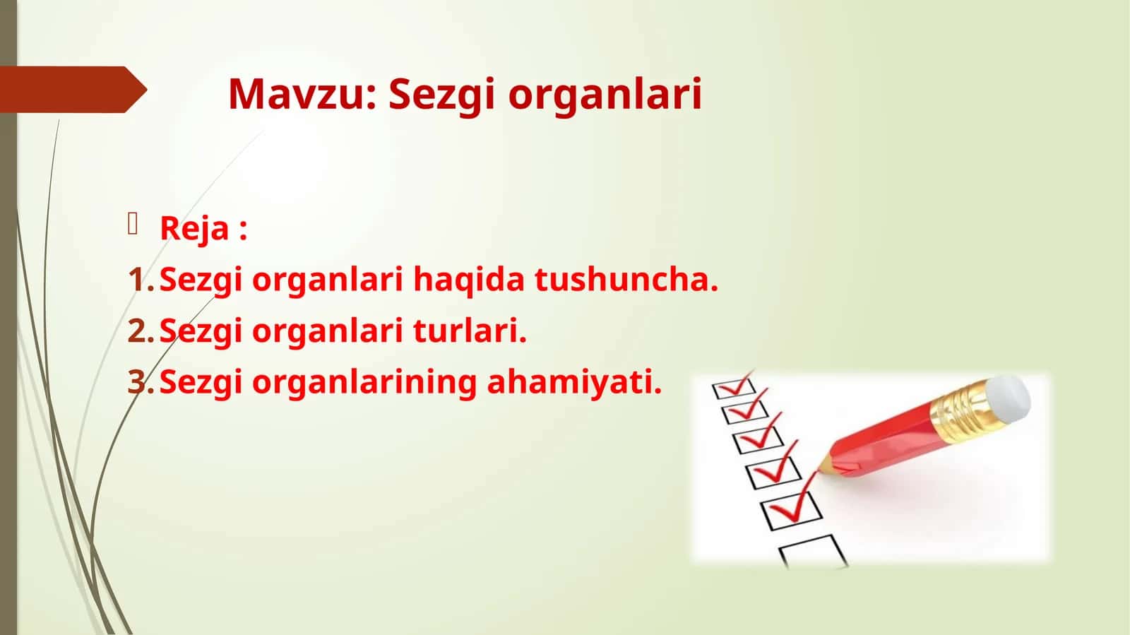 Sezgi organlari