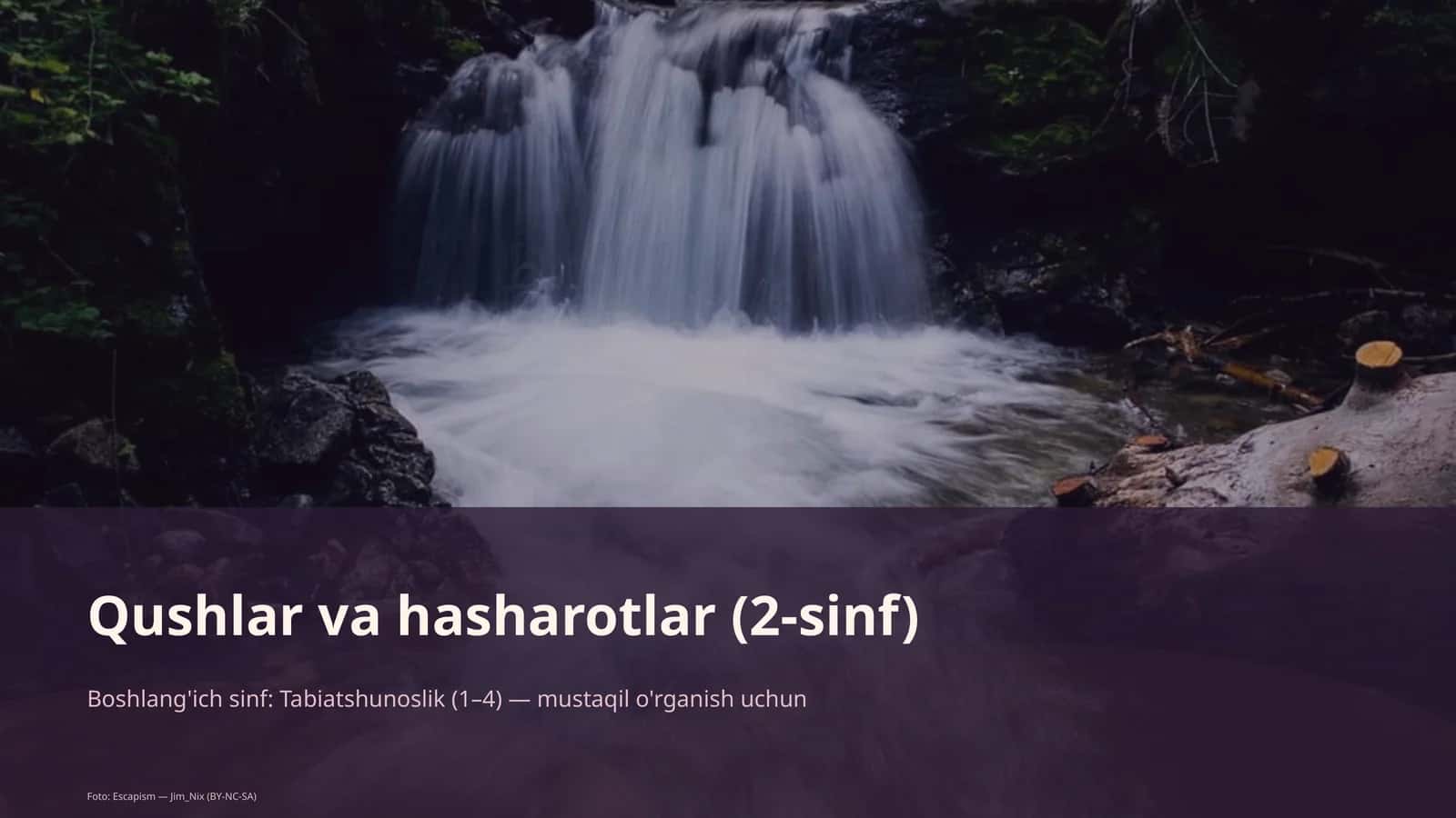 Qushlar va hasharotlar (2-sinf)