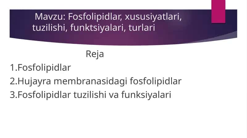 Fosfolipidlar, xususiyatlari, tuzilishi, funktsiyalari, turlari