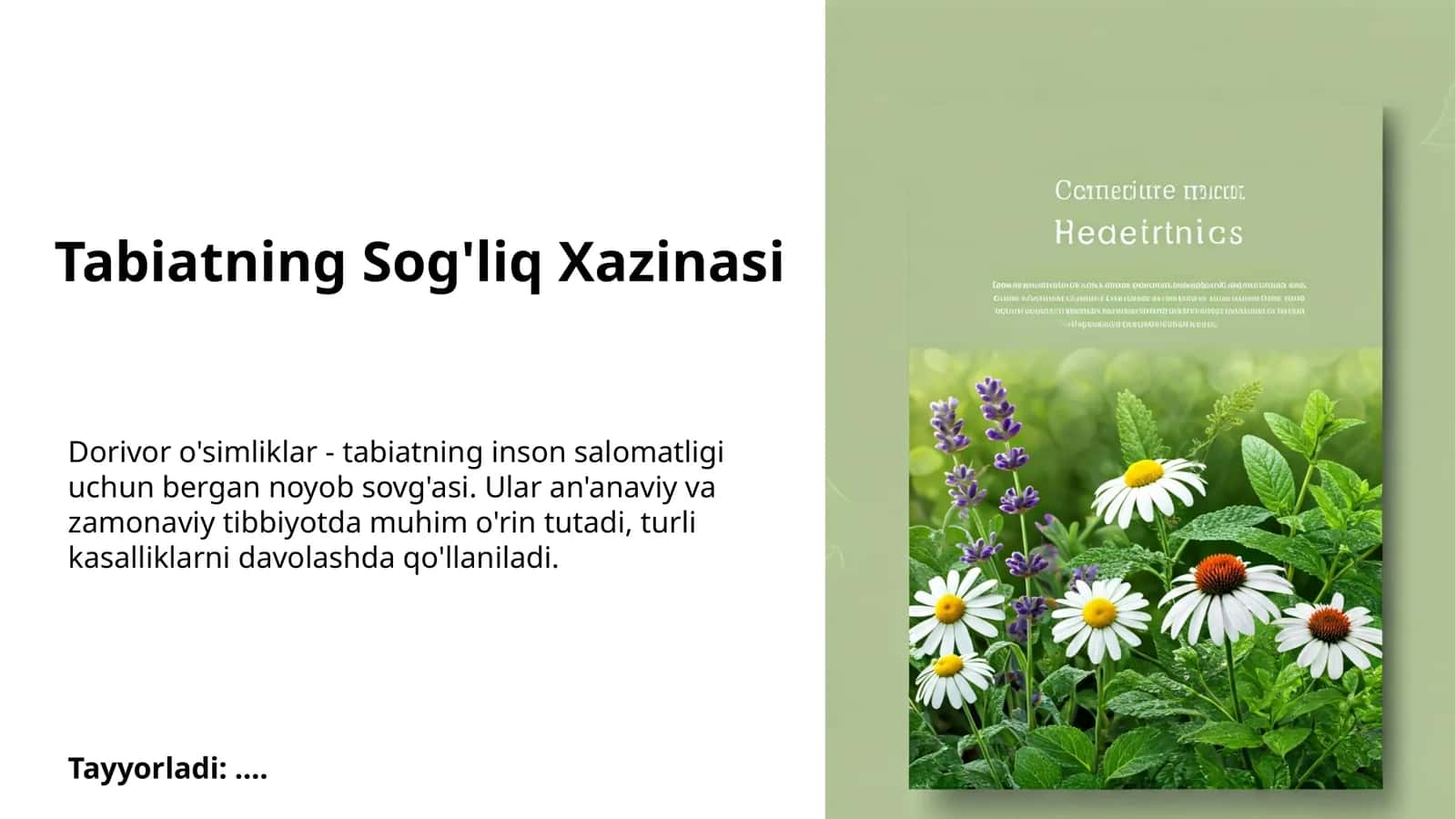 Tabiatning Sog'liq Xazinasi