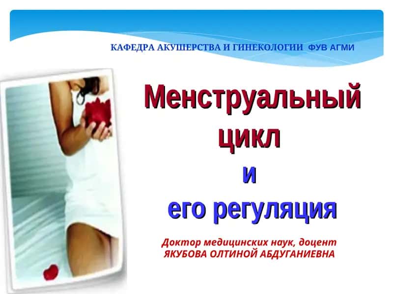 Менструальный цикл