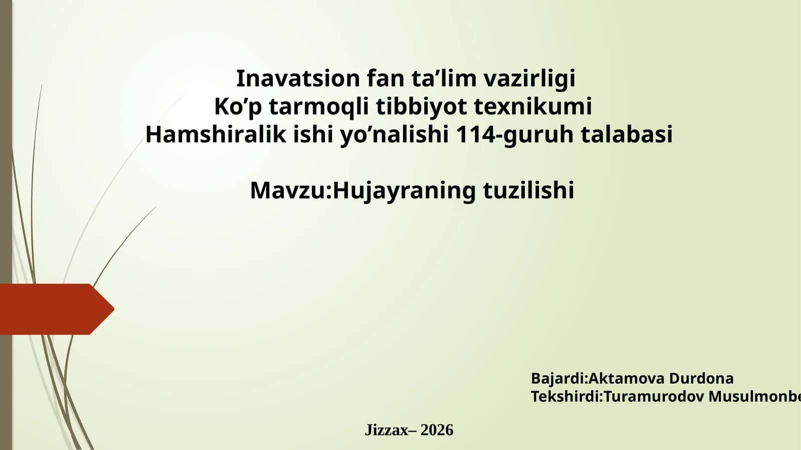 Hujayra tuzilishi
