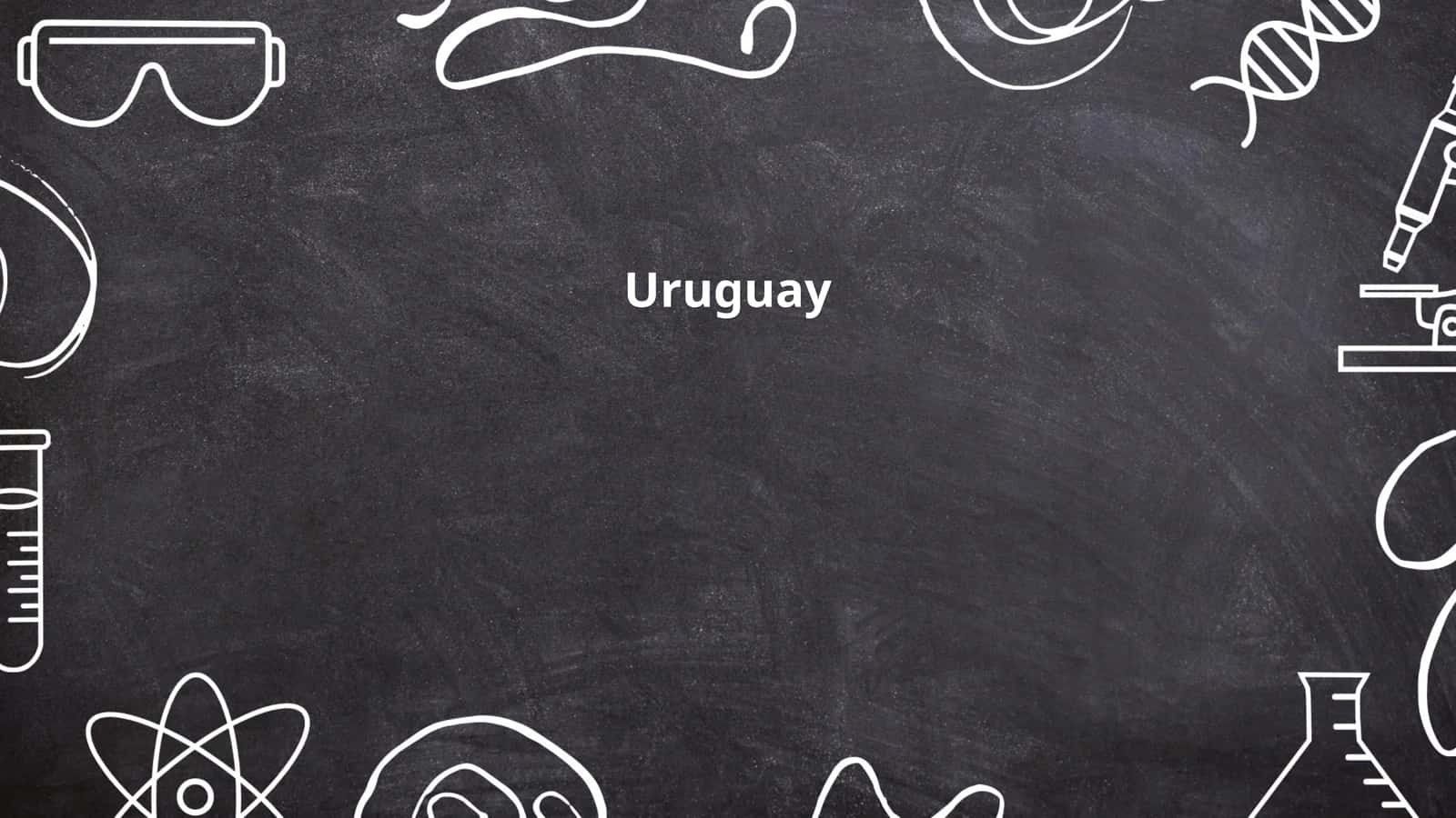 Uruguay History