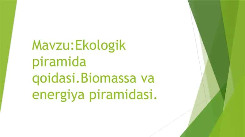 Ekologik piramida qoidasi.Biomassa va energiya piramidasi