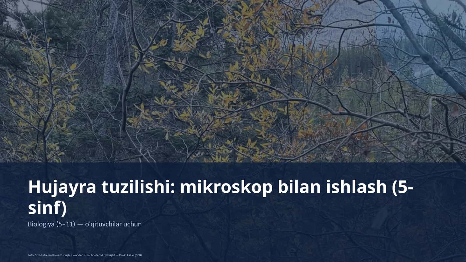 Hujayra tuzilishi: mikroskop bilan ishlash (5-sinf)