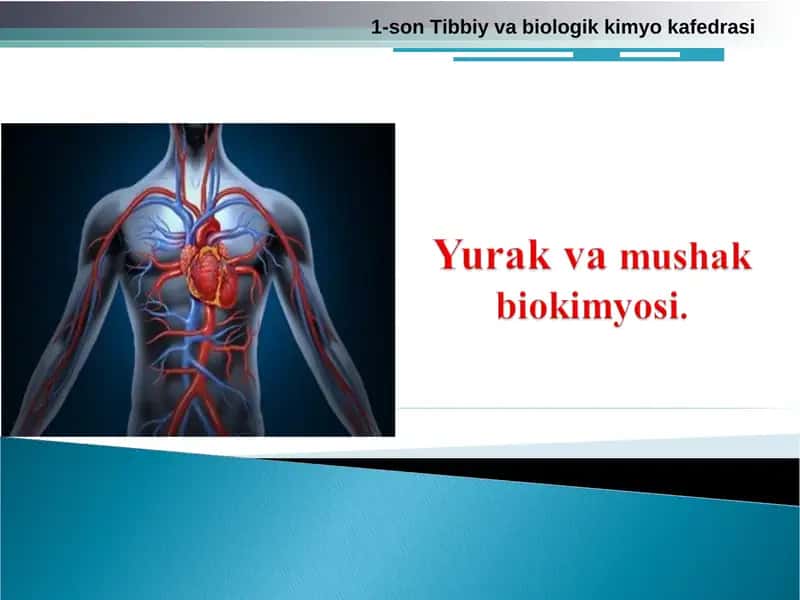 Mushak biokimyosi