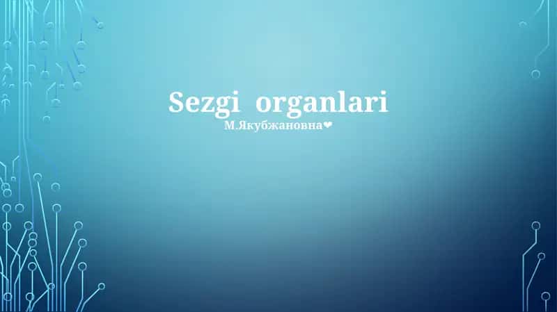 Sezgi organlari