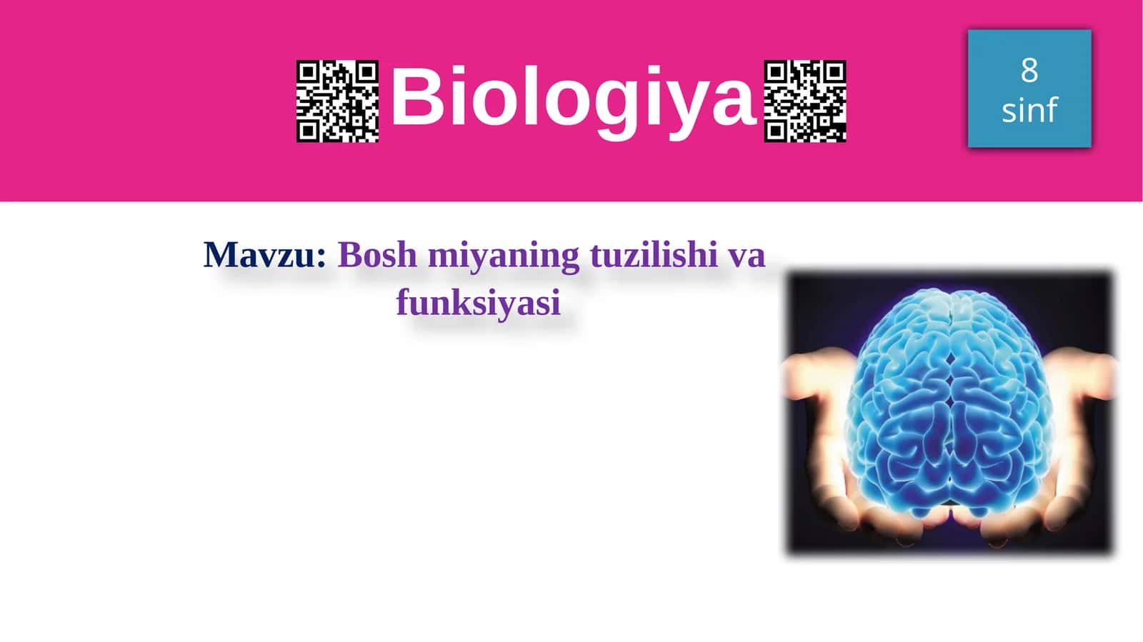 Bosh miyaning tuzilishi va funksiyasi