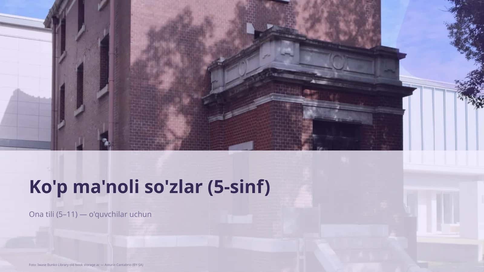 Ko'p ma'noli so'zlar (5-sinf)
